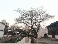 -青果巷历史文化街区