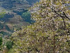 -舒家湾天主教堂