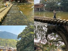 -南靖田螺坑土楼群景区