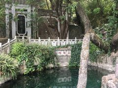 -蝴蝶泉公园