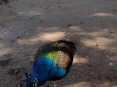 -南京金牛湖风景区