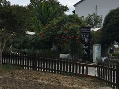 -树山生态村