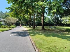 -南沙蒲洲花园