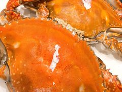 -北塘海鲜·天津菜(大光明桥旗舰店)
