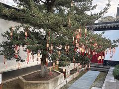 -东山雕花楼