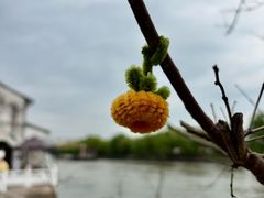 -丝绸小镇荻港古村