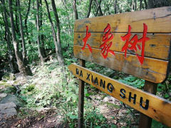 android_upload_pic-三块石国家森林公园