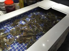 -台北A+A七喜饭店(德增街店)