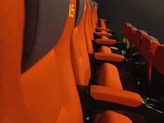 -武汉华夏国际影城(鲁广店)