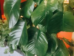 -香佰里鲜货火锅(佳乐金街店)