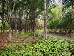 -永定河休闲森林公园
