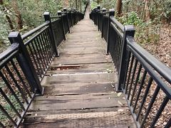 -杭州半山国家森林公园