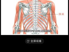-裕和堂中医推拿艾灸(太古汇臻品店)