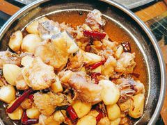 -志晖园圆子鸡·辣子鸡(阳光店)