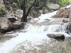 -老张烤羊(王哥庄店)