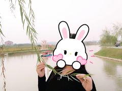 -枫林花海