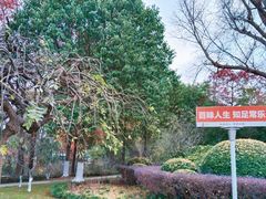 -狼山风景名胜区