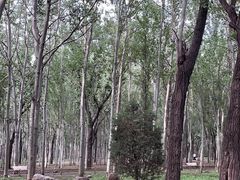 -森林公园(尖草坪区)