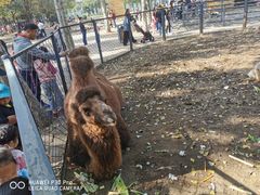 -长白岛森林公园