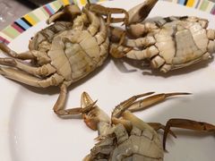 -冀粤香海鲜自助餐厅(西美五洲店)