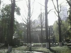 -温江公园