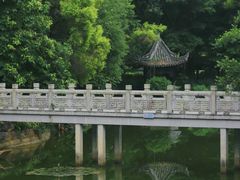 -深圳国际园林花卉博览园