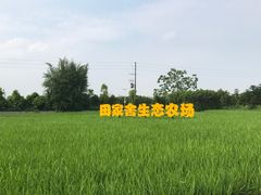 -迪茵湖田家舍生态农场