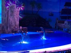 -华夏文旅海洋公园