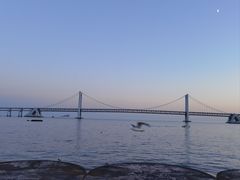 -星海广场