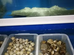 -潮有信餐厅(碧桂园十里金滩店)