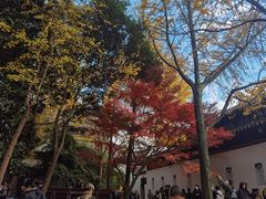 -西园戒幢律寺