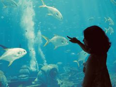 -三亚海昌梦幻海洋不夜城