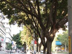 -湛江明记(湛江鸡湛江生蚝)