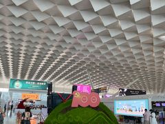 -郑州新郑国际机场