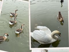 -杭州野生动物世界