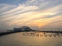 -苏州东太湖生态园