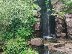 -水绘园