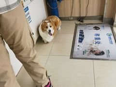 -宠福鑫康馨动物医院·骨科·眼科