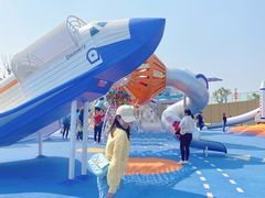 -九龙湖公园