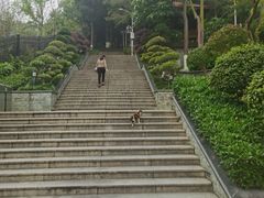 -仙岳公园