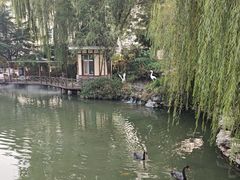 -天毓山庄·餐厅