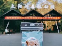 -普洱太阳河森林公园