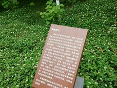 -白鹭湾湿地公园