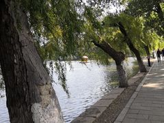 -二一九公园