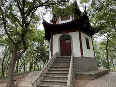 -上海佘山国家森林公园天马山园