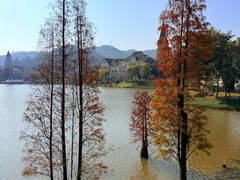 -美的鹭湖森林度假区