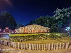 -南翔镇银翔湖公园