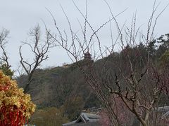 -狼山风景名胜区