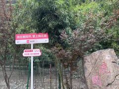 -鹿院坪生态旅游景区