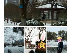 -堤角公园